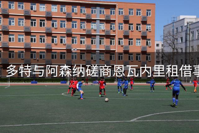 多特与阿森纳磋商恩瓦内里租借事宜